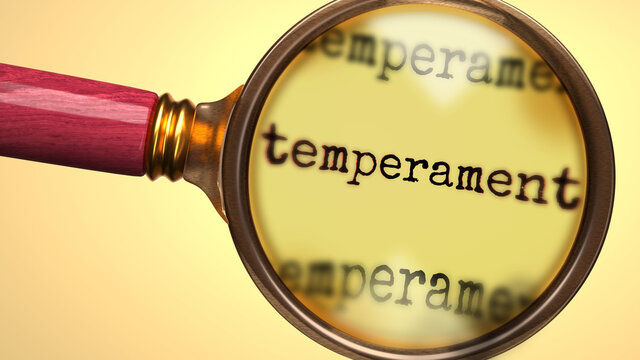 Temperament