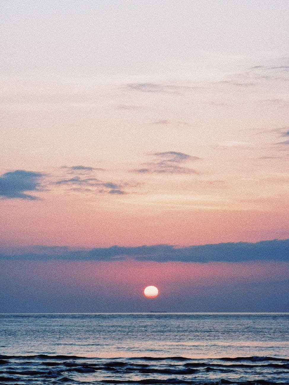 baltic sea in pink